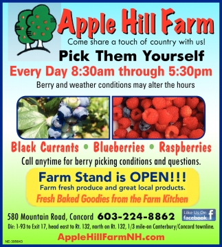 Pick Them Yourself, Apple Hill Farm, Concord, NH