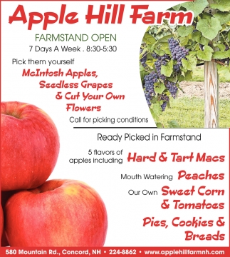 Farmstand Open, Apple Hill Farm, Concord, NH