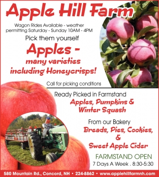 Pick Them Yourself, Apple Hill Farm, Concord, NH