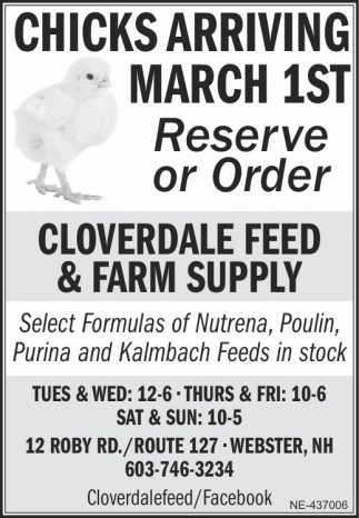 Chicks Arriving, Cloverdale Feed And Farm Supply, ster, NH