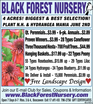 Free Landscape Design Black Forest Nursery Concord Nh Free Landscape Design Black Forest