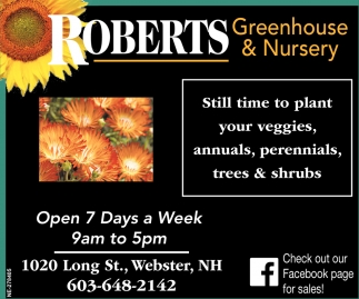 Still Time To Plant Your Veggies Annuals Perennials Trees Plant Your Veggies Annuals Perennials