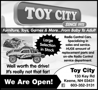 Toy best sale city website