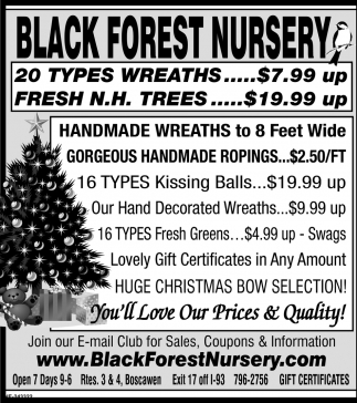 Fresh Handmade Wreaths Black Forest Nursery Concord Nh